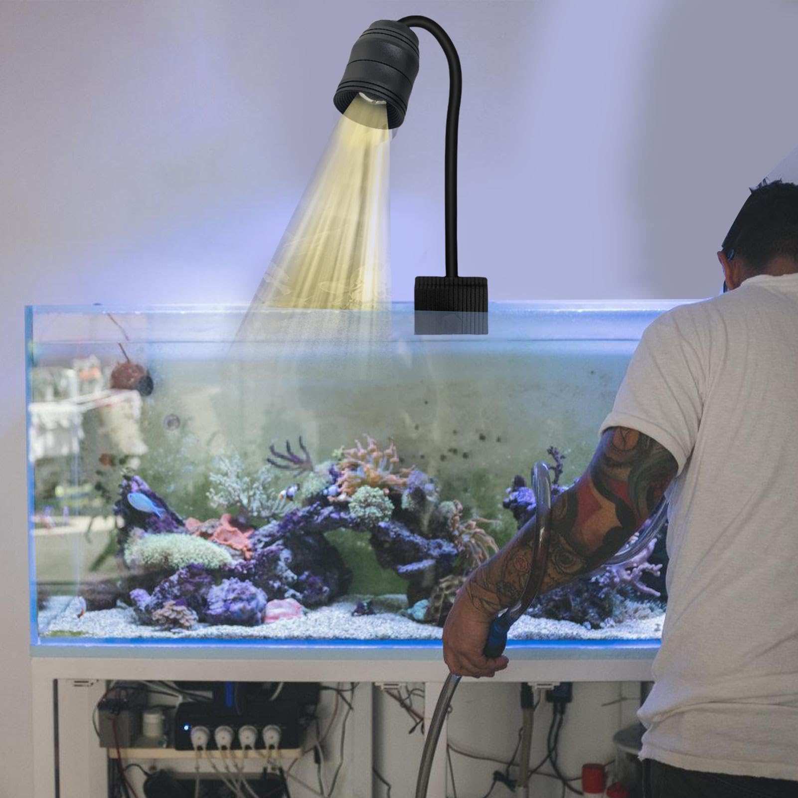 ADA GT-SEMANN 水槽用ライト Amazon.co.jp: Lominie 水槽ライト アクアリウム LED 熱帯魚